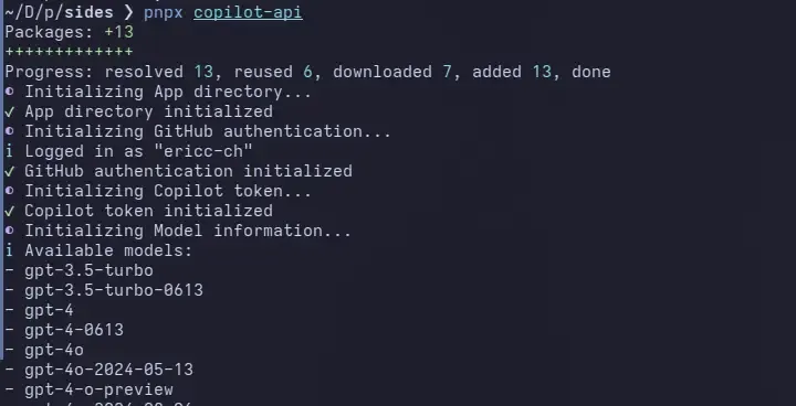 Screenshot of copilot api running